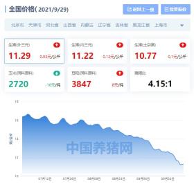 全国生猪价格涨跌表｜2021年9月29日，多地价格上涨，养猪户开心 